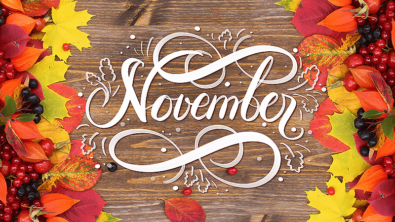 GB TOP 20 PAYOUTS FOR NOVEMBER