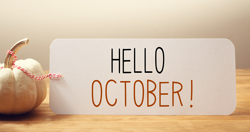 GB TOP 20 PPI PAYPOUTS FOR OCTOBER 2020